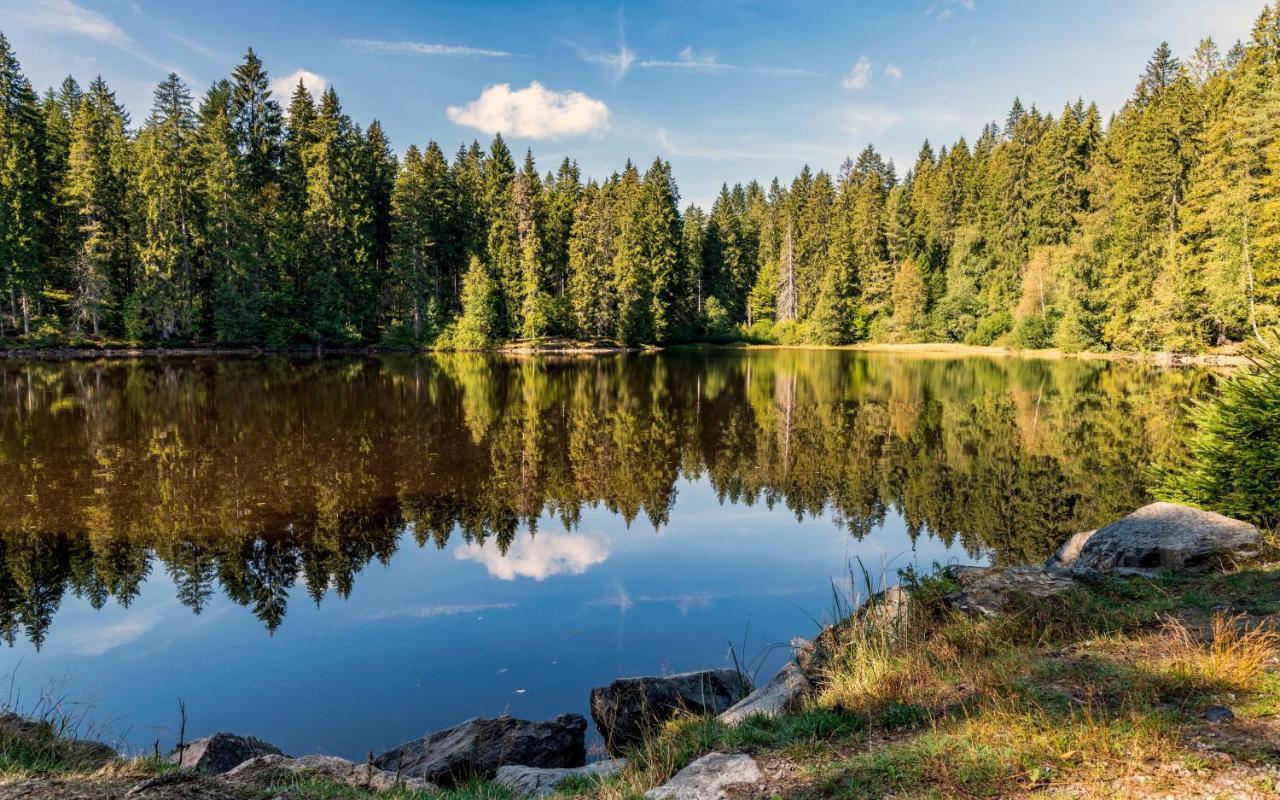 Hotel Baeren Titisee Экстерьер фото